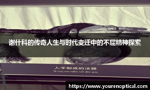 谢什科的传奇人生与时代变迁中的不屈精神探索